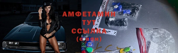 сатива Козельск