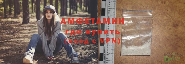 сатива Козельск
