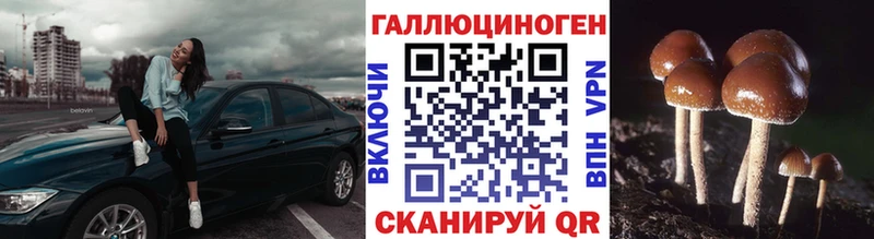 omg ссылки  Саратов  Псилоцибиновые грибы GOLDEN TEACHER  купить наркотики сайты 